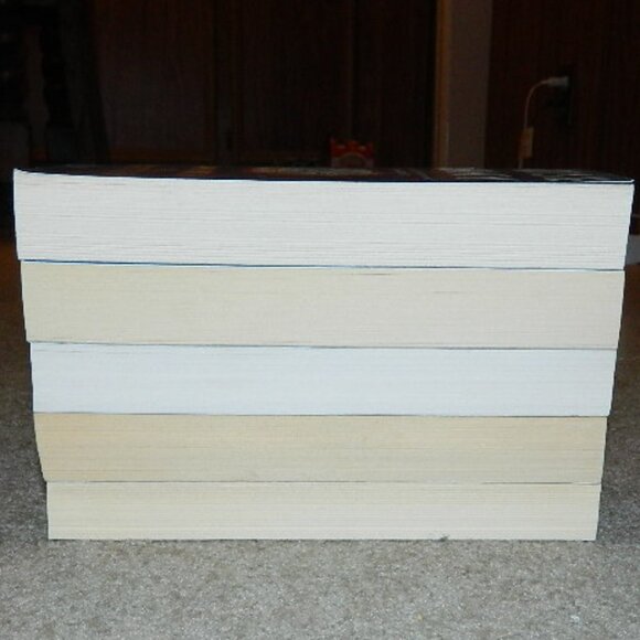 Louise Penny Lot of 5 Trade Paperback Books Bundle - Picture 5 of 7